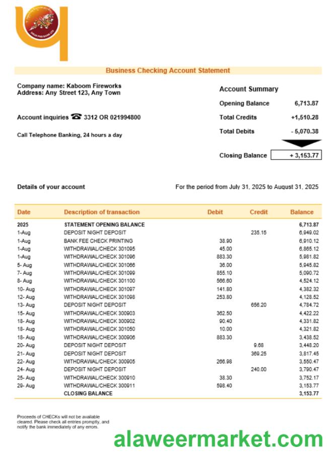 Druk PNB bank firm account statement Word and PDF template
